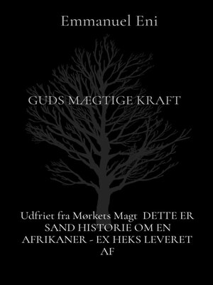 cover image of Udfriet fra Mørkets Magt  DETTE ER SAND HISTORIE OM EN AFRIKANER--EX HEKS LEVERET AF